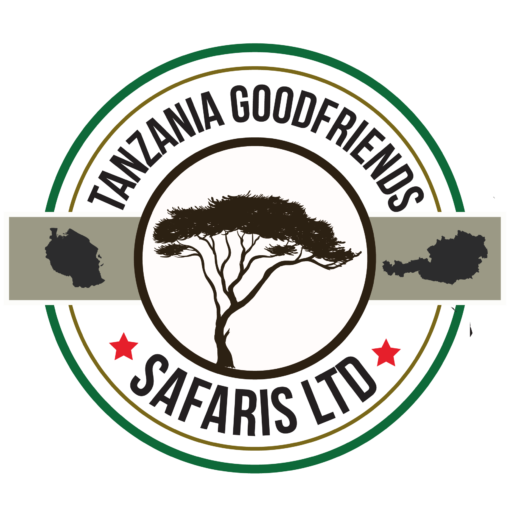 Tanzania Good Friends Safaris | 