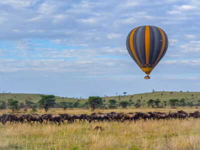 9-DAY SERENGETI'S MIGRATION MAJESTY
